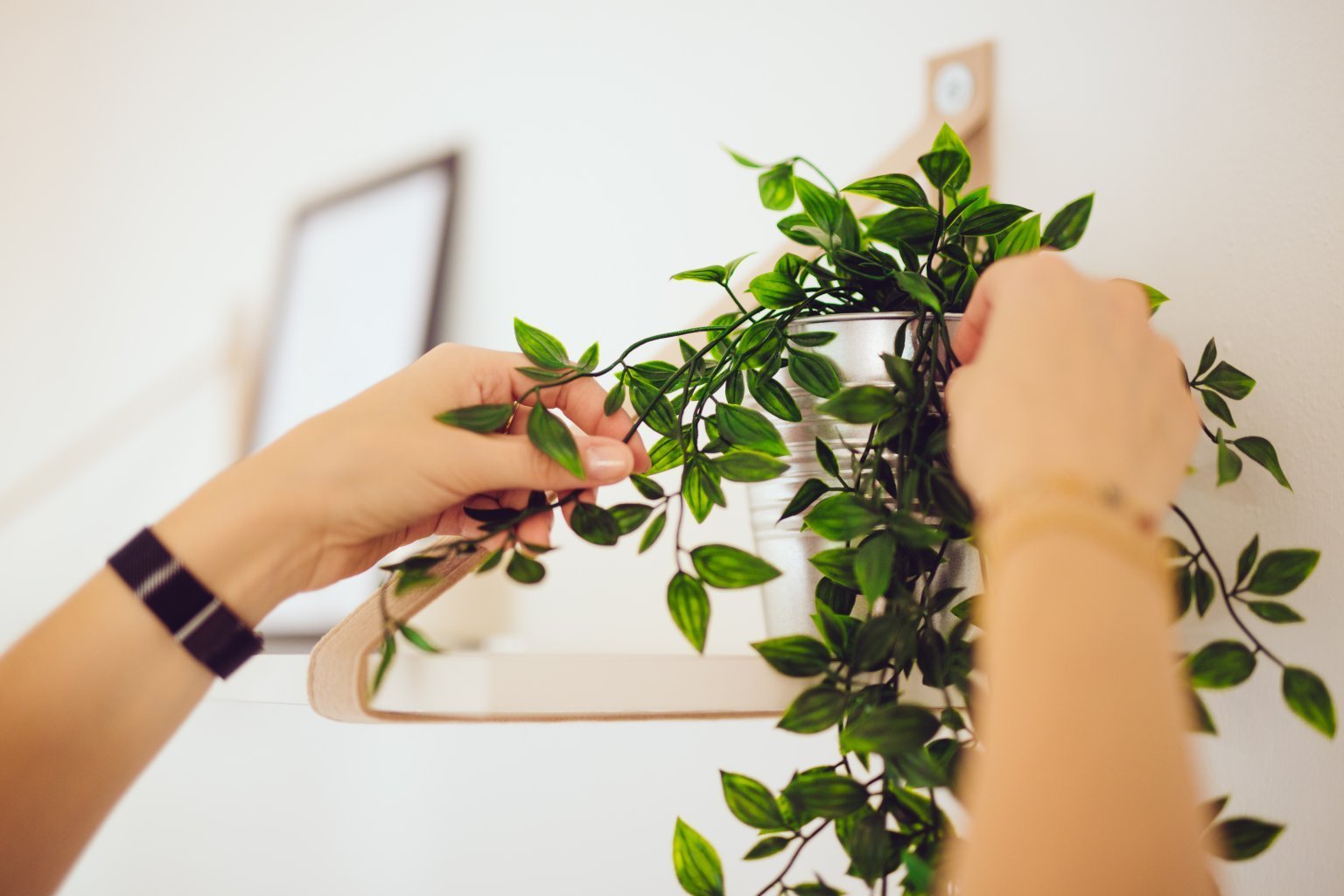 Home staging květin a dekorací Home staging květin a dekorací